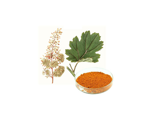 Extrato de Macleaya Cordata