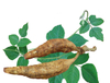Extrato de raiz de Kudzu