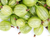 Extrato de Amla 