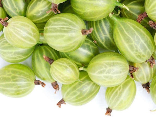 Extrato de Amla 