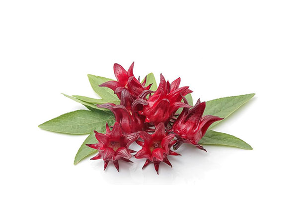 Extrato de Rosela