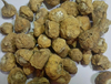 Extrato de Maca