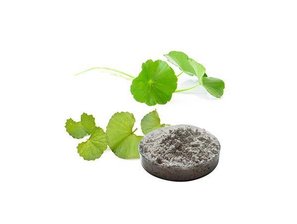 Extrato de Gotu Kola