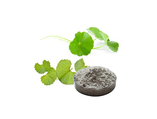 Extrato de Gotu Kola