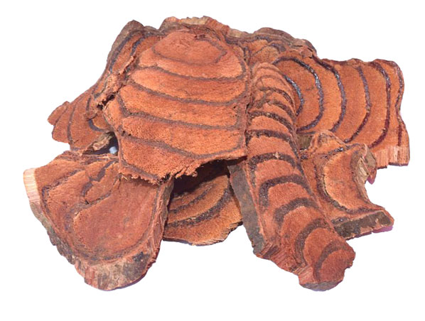 Extrato de caule subereto de Spatholobus