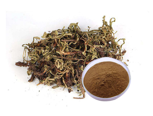 Extrato de Nardostachitis