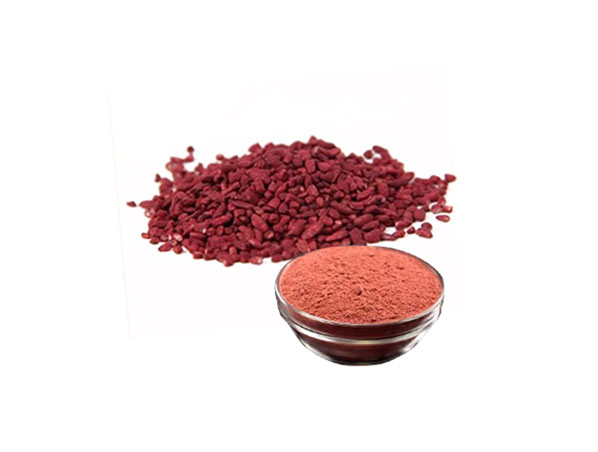 Extrato de Levedura de Arroz Vermelho