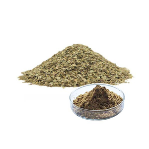 Extrato de Chá Mate