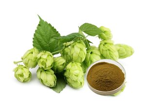 Extrato de Lúpulo