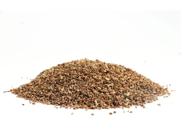 Extrato de Cnidium Monnieri