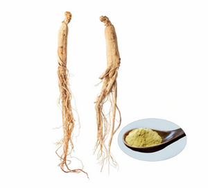 Extrato de Ginseng Coreano Orgânico 