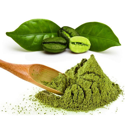  Pó ácido clorogênico do extrato do feijão de café verde da perda de peso do produto comestível