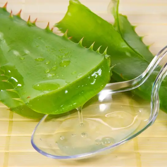 Extrato de Aloe Vera