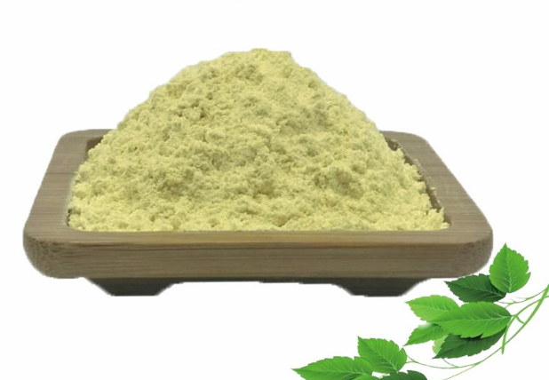 Extrato de Crisina