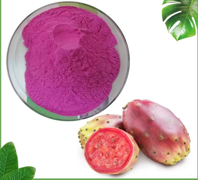 Pó de frutas de cacto/pó de folhas de cacto