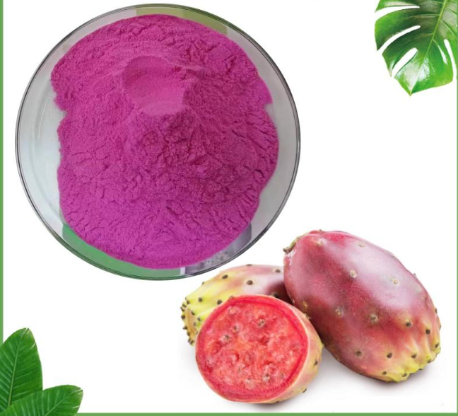 Pó de frutas de cacto/pó de folhas de cacto